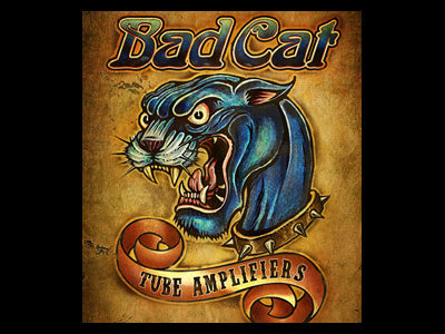 Bad Cat